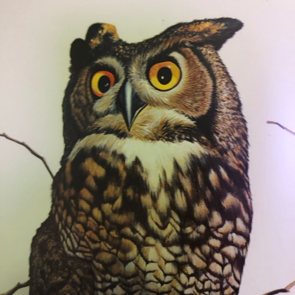 Thomas L. Kronen 1972-76 print framed - Picture 2 of 6